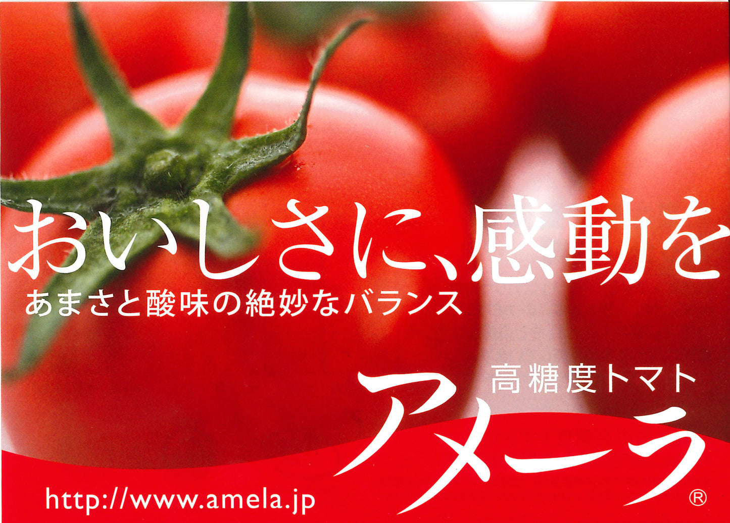靜岡AMELA高糖度蕃茄 (每盒約900g-1KG)